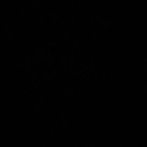 Meet your Posher, Bryanna